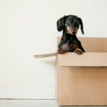 moving checklist
