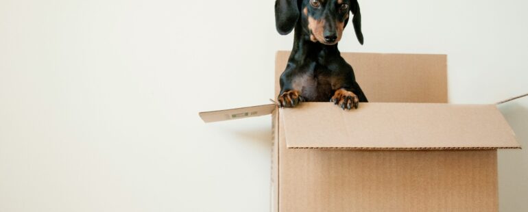 Moving Checklist: Everything You Want To Know