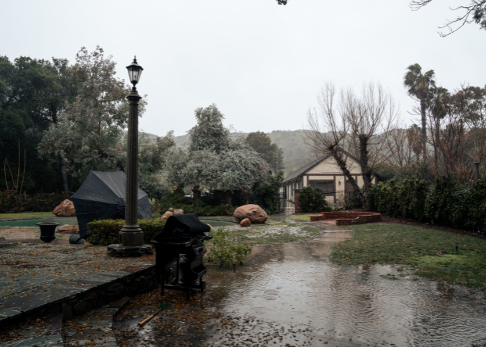 seasonal packing tips